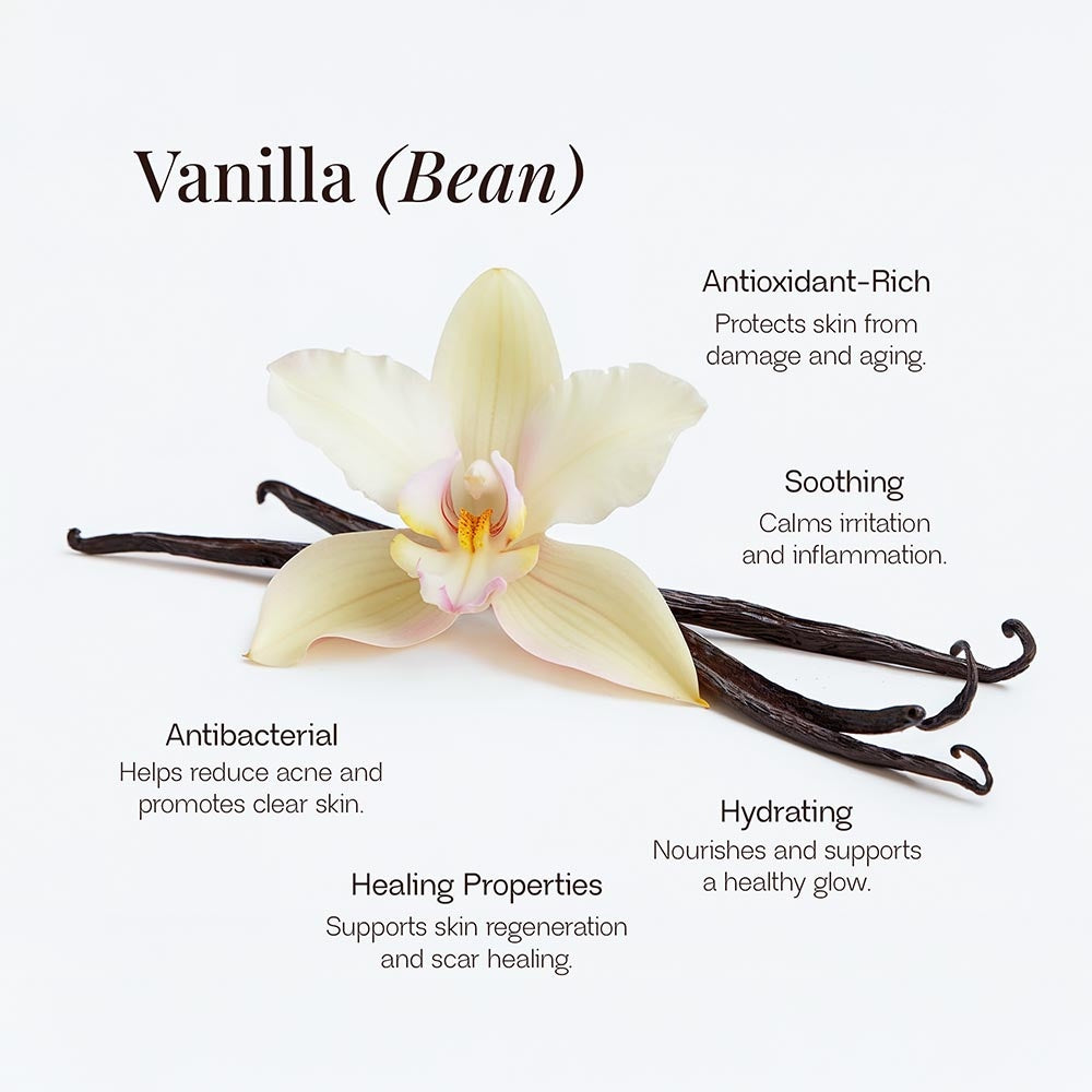Whipped Tallow Cream – Vanilla Bean | 100% Grass-Fed